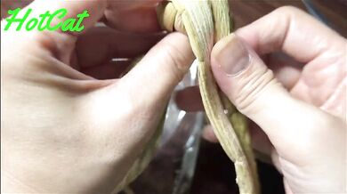 Making The Shogun-General dildo 【Higo zuiki】I made it!