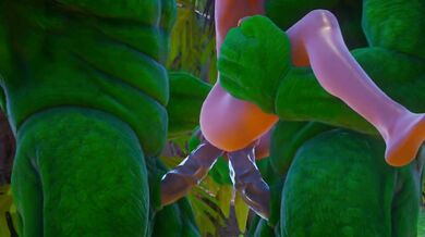 Furry aliens have a double anal challenge | wild life sex