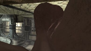 Sucking Dick In The Blue Palace Taker POV Skyrim