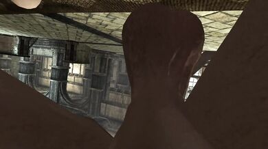 Sucking Dick In The Blue Palace Taker POV Skyrim