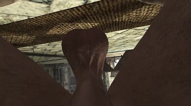 Sucking Dick In The Blue Palace Taker POV Skyrim