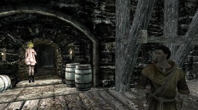 Andrea The Soul Sucker A Skyrim Story