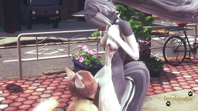 Furry Hentai Wolf gives fox boobjob until he cum on her face
