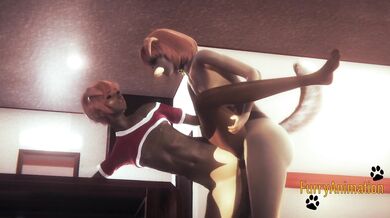 Furry Hentai - 2 Dogs Fucking in a table