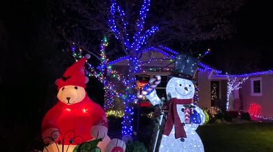 Granny's Candy Cane Lane