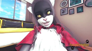Furry Hentai - White Cat & Black Kitty Yiff