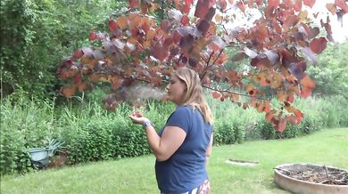 Frangelica outside for 420Smoke, Mouthful Of Cum, Garden Walk, PlanetFunCamp Huge Natural Tits MILF