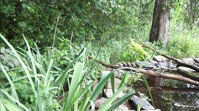 Frangelica outside for 420Smoke, Mouthful Of Cum, Garden Walk, PlanetFunCamp Huge Natural Tits MILF