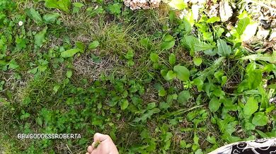I walk barefoot in the grass in public and show you my dirty soles