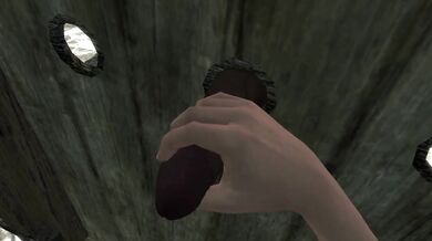 Enter The Glory Hole FPOV Taker POV Skyrim