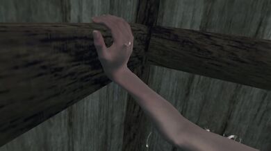 Enter The Glory Hole FPOV Taker POV Skyrim