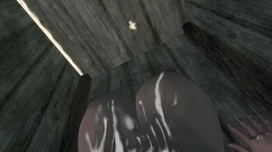Enter The Glory Hole FPOV Taker POV Skyrim
