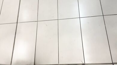 MY BOYFRIEND and I had a QUICKIE in a PUBLIC TOILET during a SCHOOL TRIP