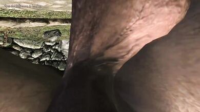 Taking Dick In Whiterun FPOV Skyrim