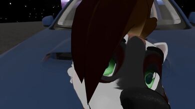 Furry Sex on the Car Bonnet