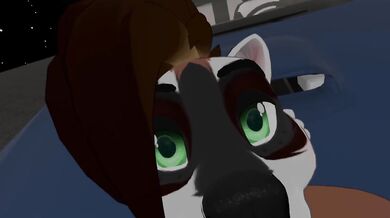 Furry Sex on the Car Bonnet