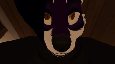 POV Furry Sex