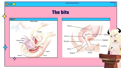 Vtuber teaches you why penis size doesn't matter (not porn)