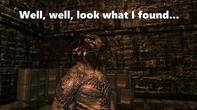 Princess Andrea Gets Ganged Banged By Argonian Lizard Men A Skyrim Story