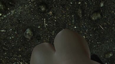 Surrender To The Werewolf Cock FPOV Taker POV Skyrim