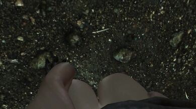 Surrender To The Werewolf Cock FPOV Taker POV Skyrim