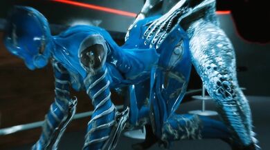 skyrim warframe mag porn