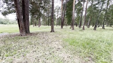 Hot Stranger Lost In The Woods, I'm Fucking Her Pussy While She Doesn't Notice, Pretending To Help