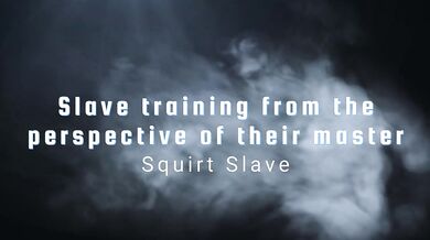 Slave training from their master's perspective