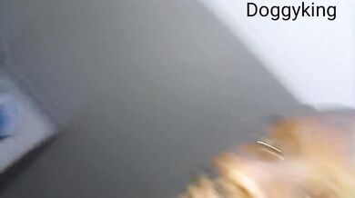Doggystyle 20