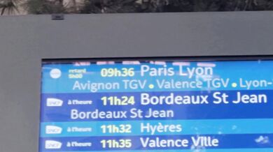 Fuck in train