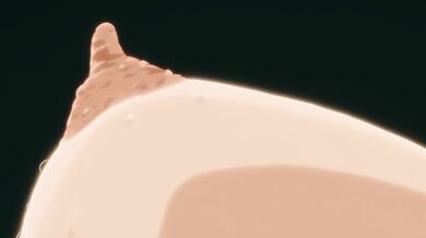 Big Boobed Married Beauty Loves To Get Cunnilingus | Hentai 1080p