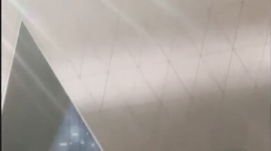 Hentai babe pussy fucked in her wet pussy