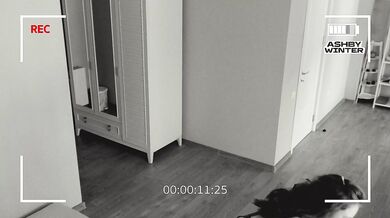 In Porn by Ad. Awkward sex with the Admin who Commented on our Weird Sex on a Dirty Mattress and a Smelly Sheet