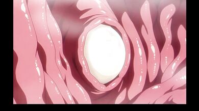 Hentai  fucked in all holes