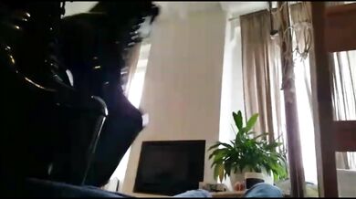 TRAMPLING COMPILATION 2020 - PARMA TOUR
