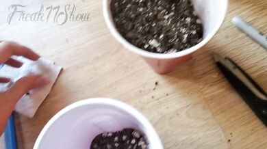 Nude Gardening with Freak77Show Episode 5 Popping Seeds