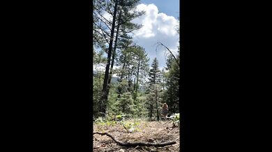 Horny on a Hike
