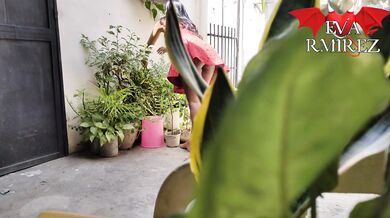 I love to show myself in the garden inviting my neighbor to see me