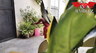 I love to show myself in the garden inviting my neighbor to see me