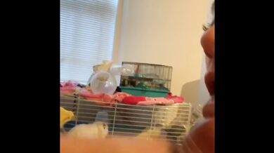 Choking and Spanking til I cum hard, red ass riding cock, HUGE facial