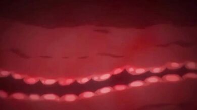 REACCIONANDO ANIMACIÓN HENTAI _ TERMINANDO CON MIS POSICIONES FAVORITAS _ LECHE ADENTRO DE SUS VAGINAS