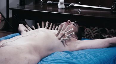 How Many Clothespins Can I Take Being Ripped Off My Body???