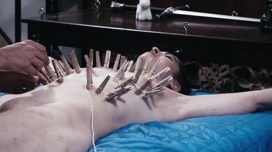How Many Clothespins Can I Take Being Ripped Off My Body???