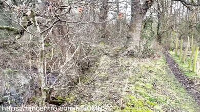 Crazy wife sucking dick in the forest huge Cumshot in her mouth