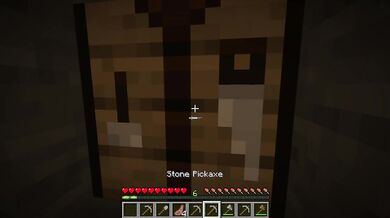 minecraft #1 the beginning