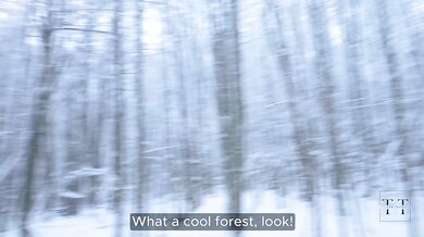 During a Lovely Walk in the Winter Forest, My Pussy Was Filled to the Limit 4K HD Tim Team