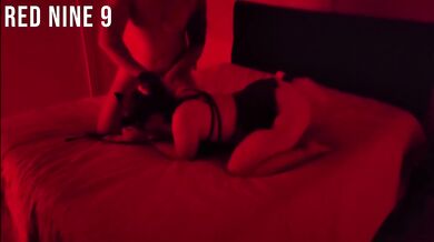 Submissive Kitty in Collar