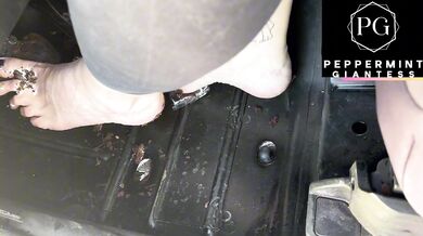6'7" Tall Amazon Giantess Goddess Crushes Cupcakes Under her MASSIVE Size 16 Giant Feet