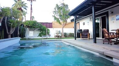 Tiny Redhead Explores Palm Springs