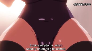 Fuuki Iin to Fuuzoku Katsudou